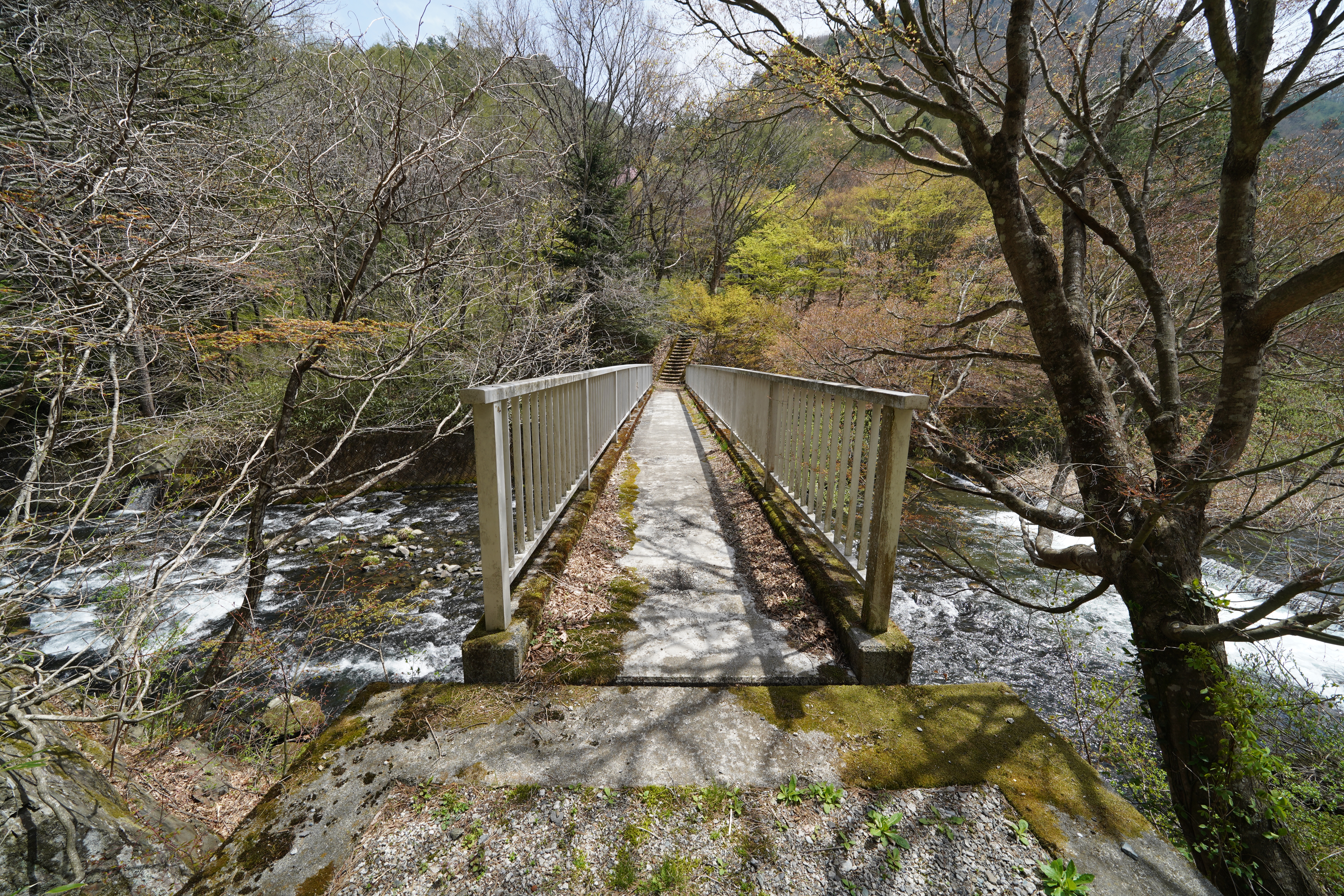 発電所に向かう