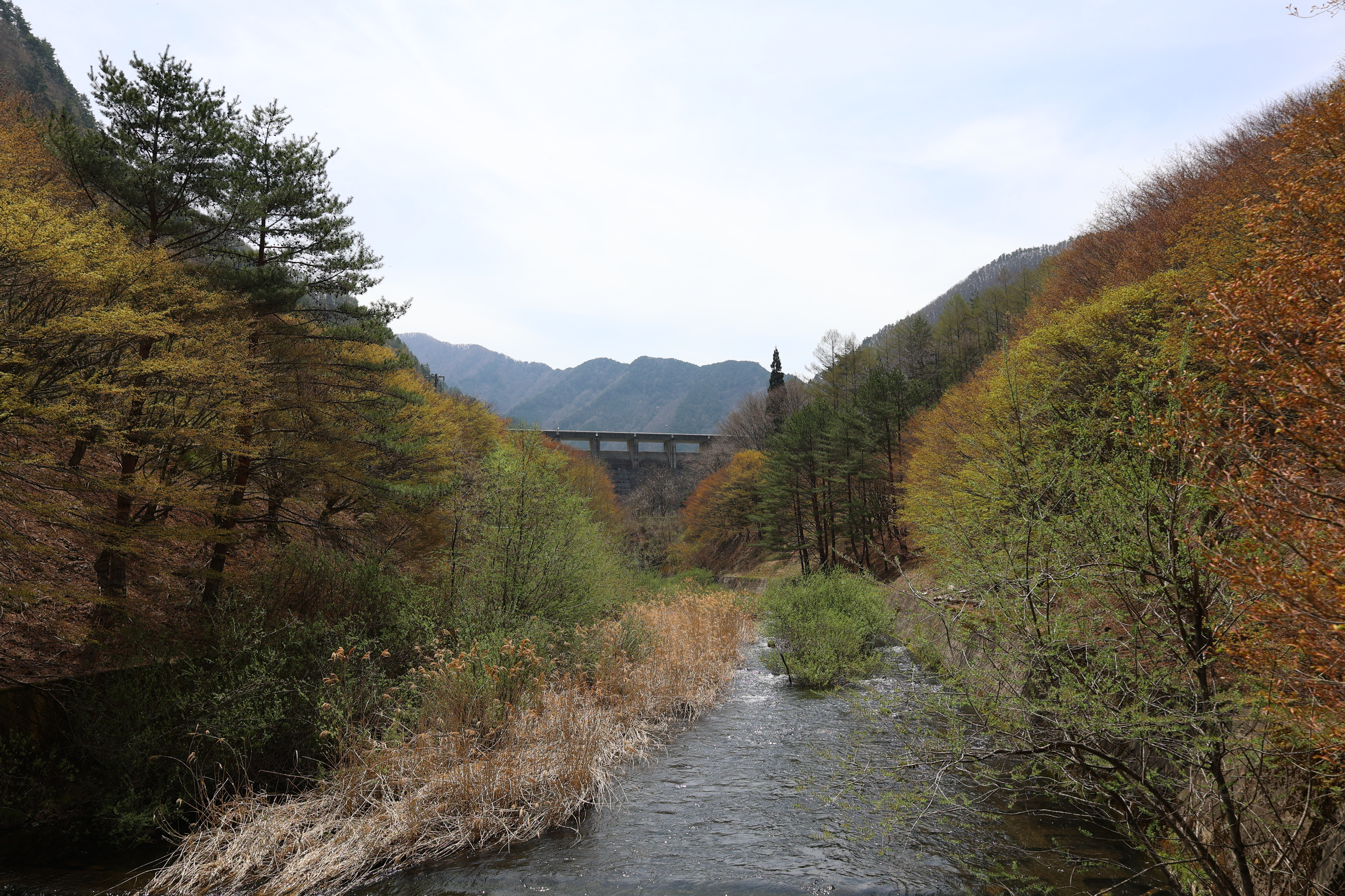 遠目にダムを見る