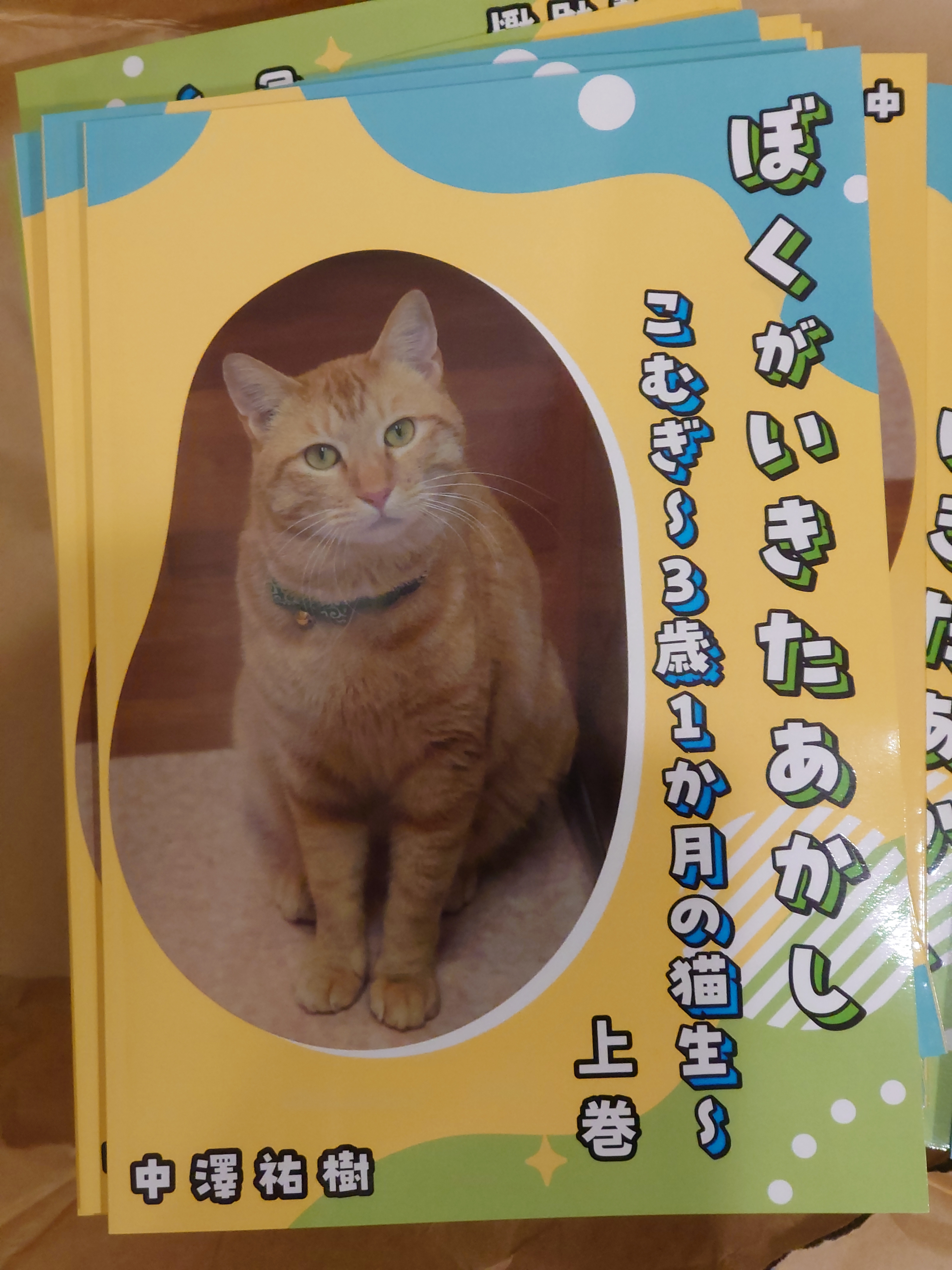 ぼくがいきたあかし～こむぎ猫生3歳1か月～上巻製本