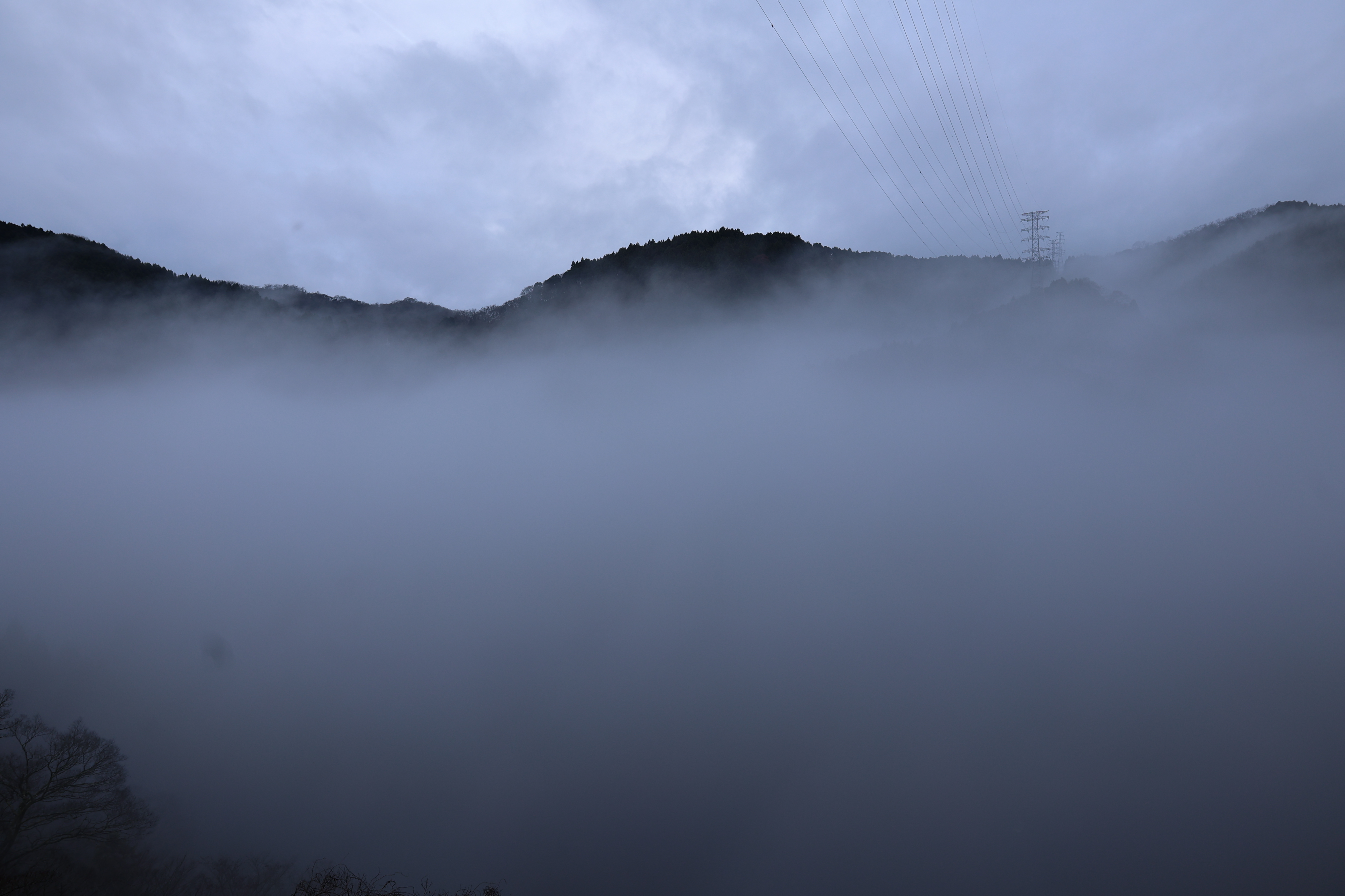 霧で何も見えない