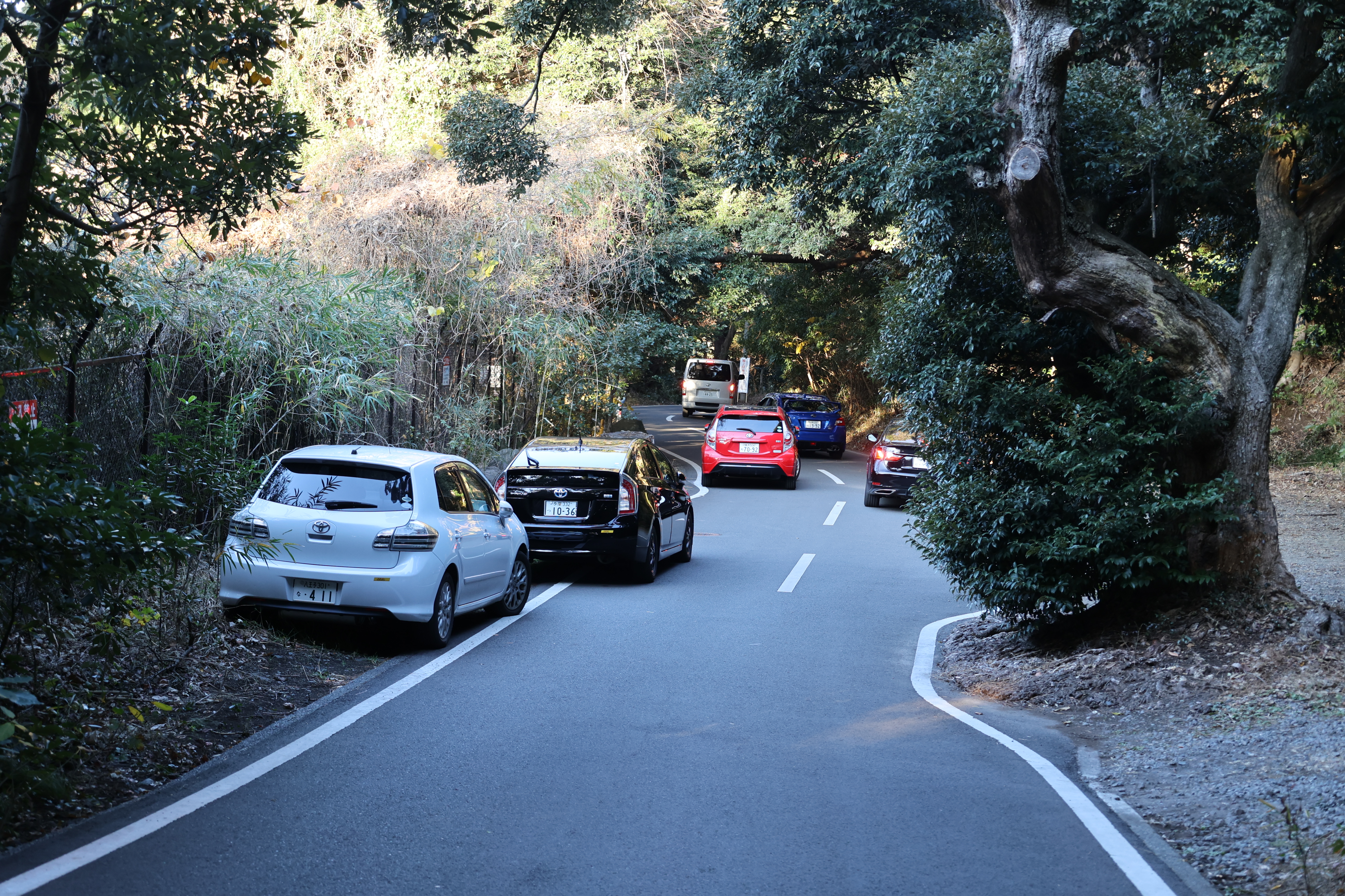 路駐がすごい事になっていた