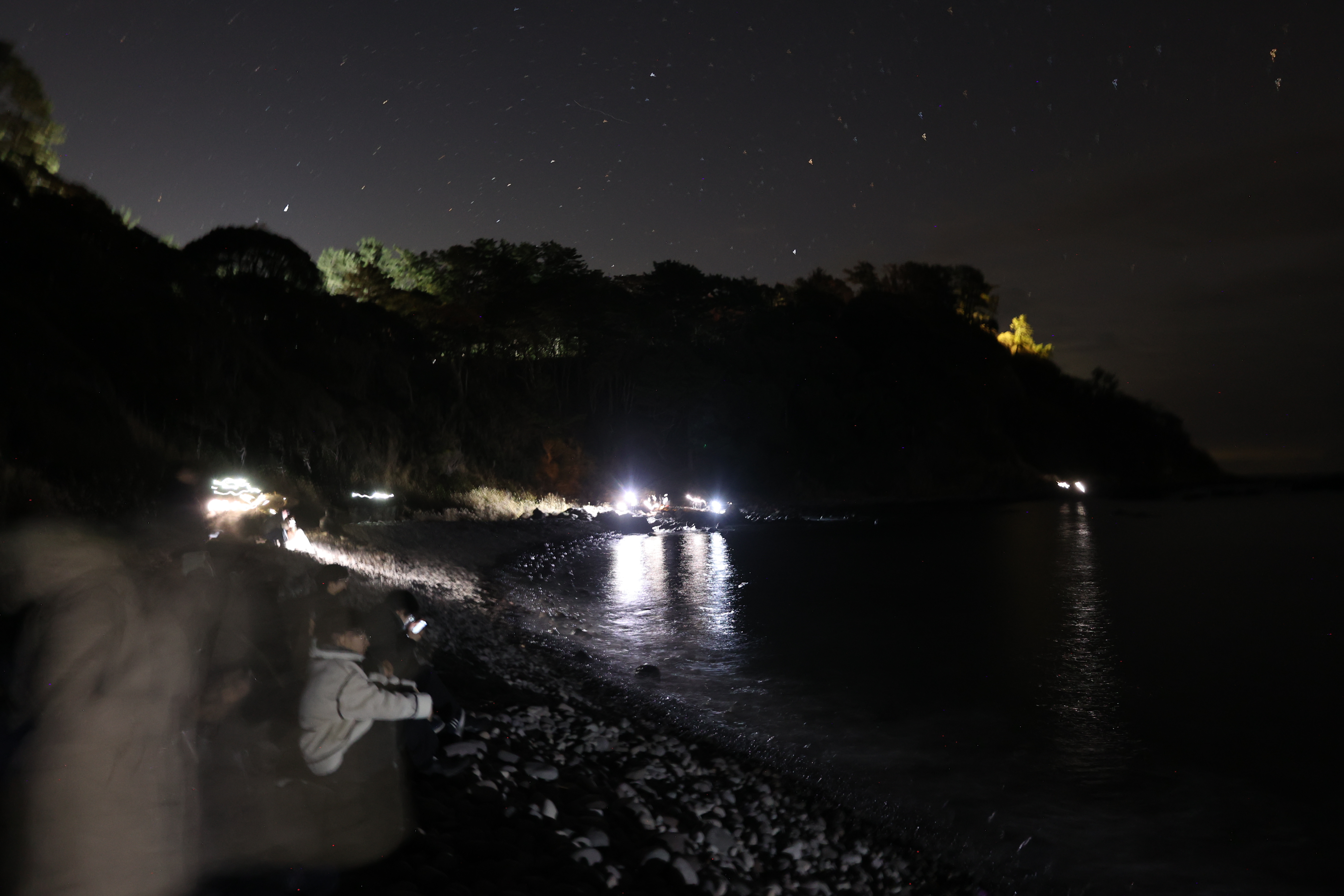 ライトを手に海岸に来る人達