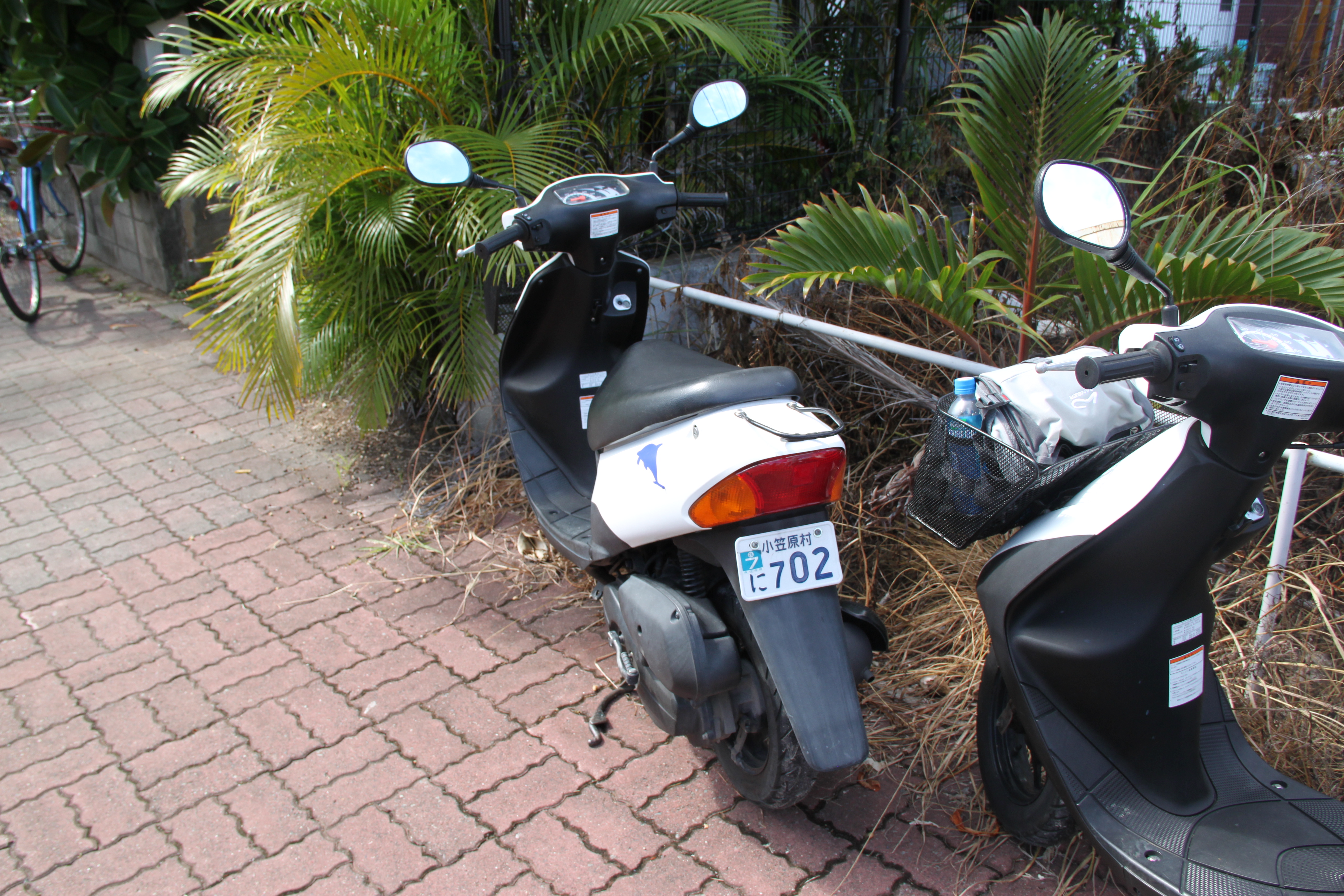 借りた原付２台