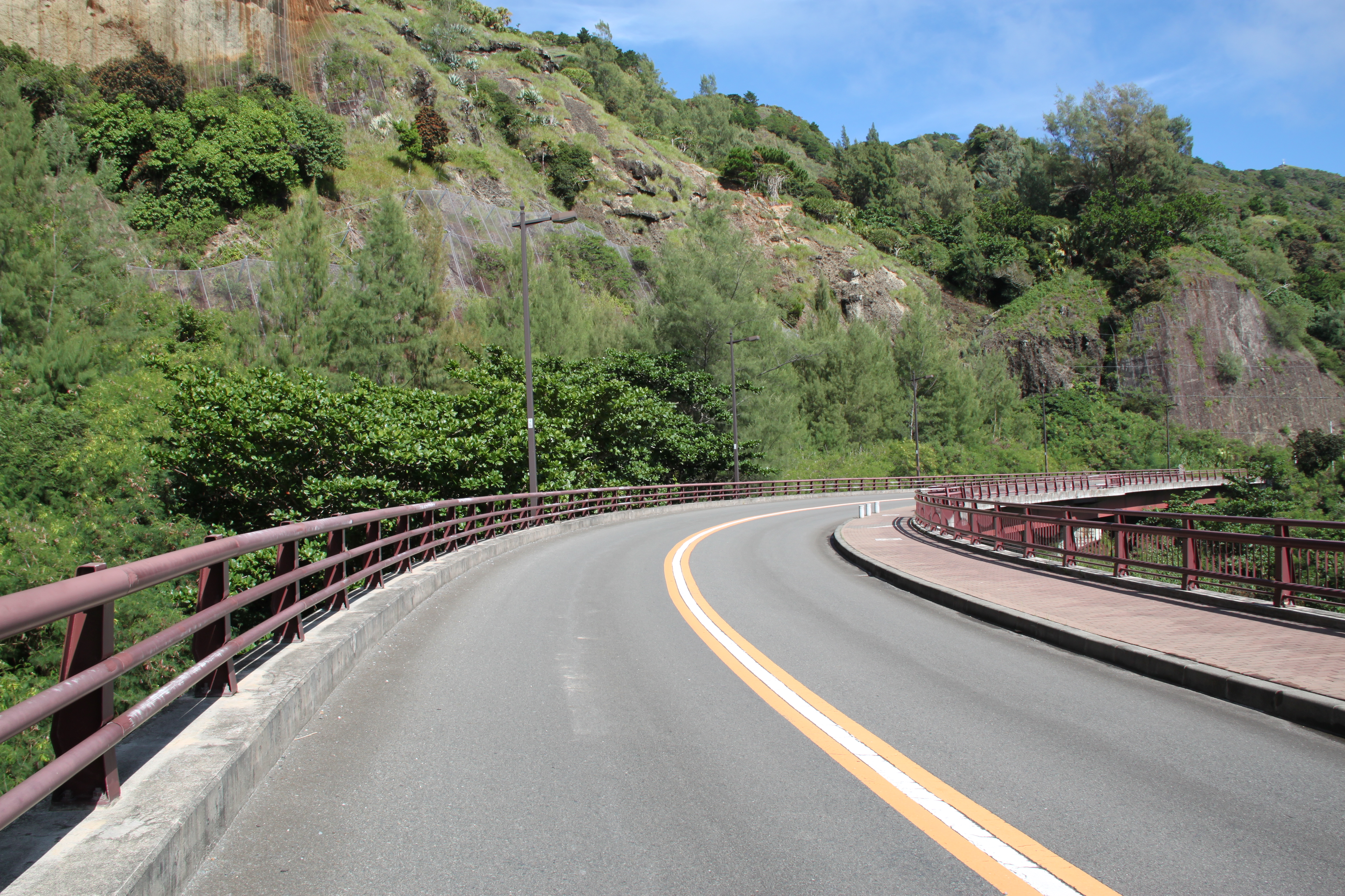 曲がっている橋梁道路