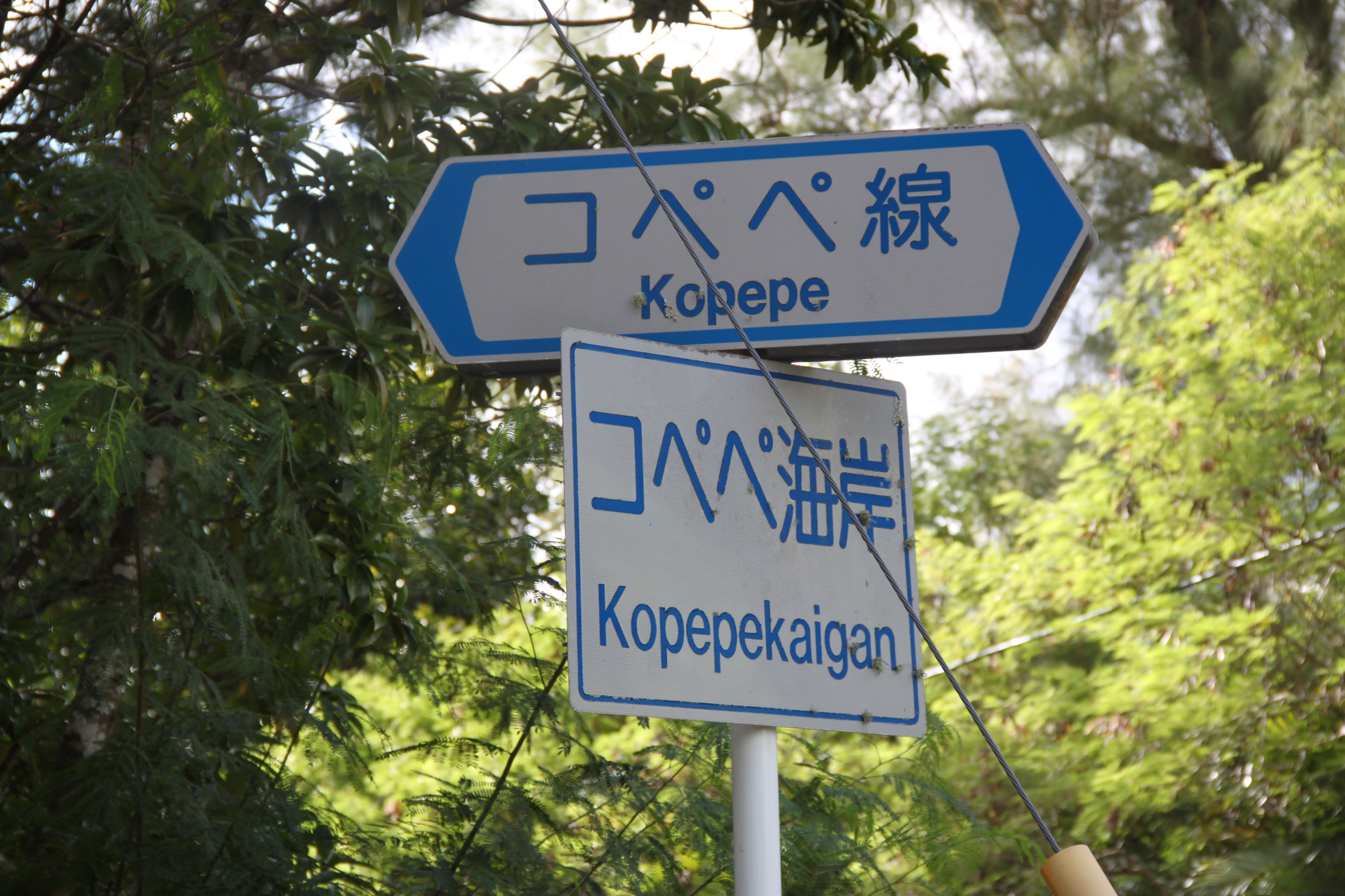 コペペ海岸の看板