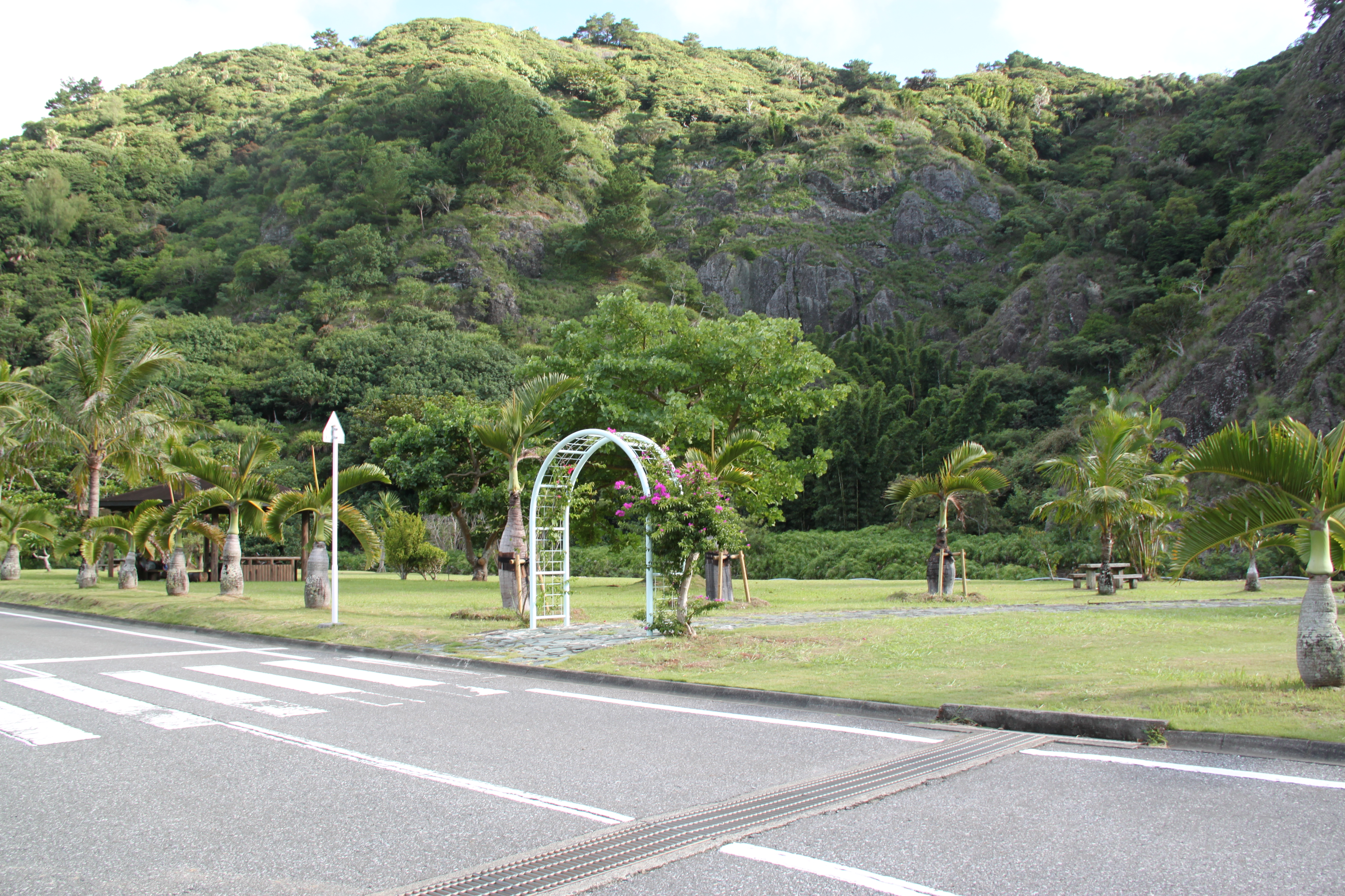 南国風の道路２