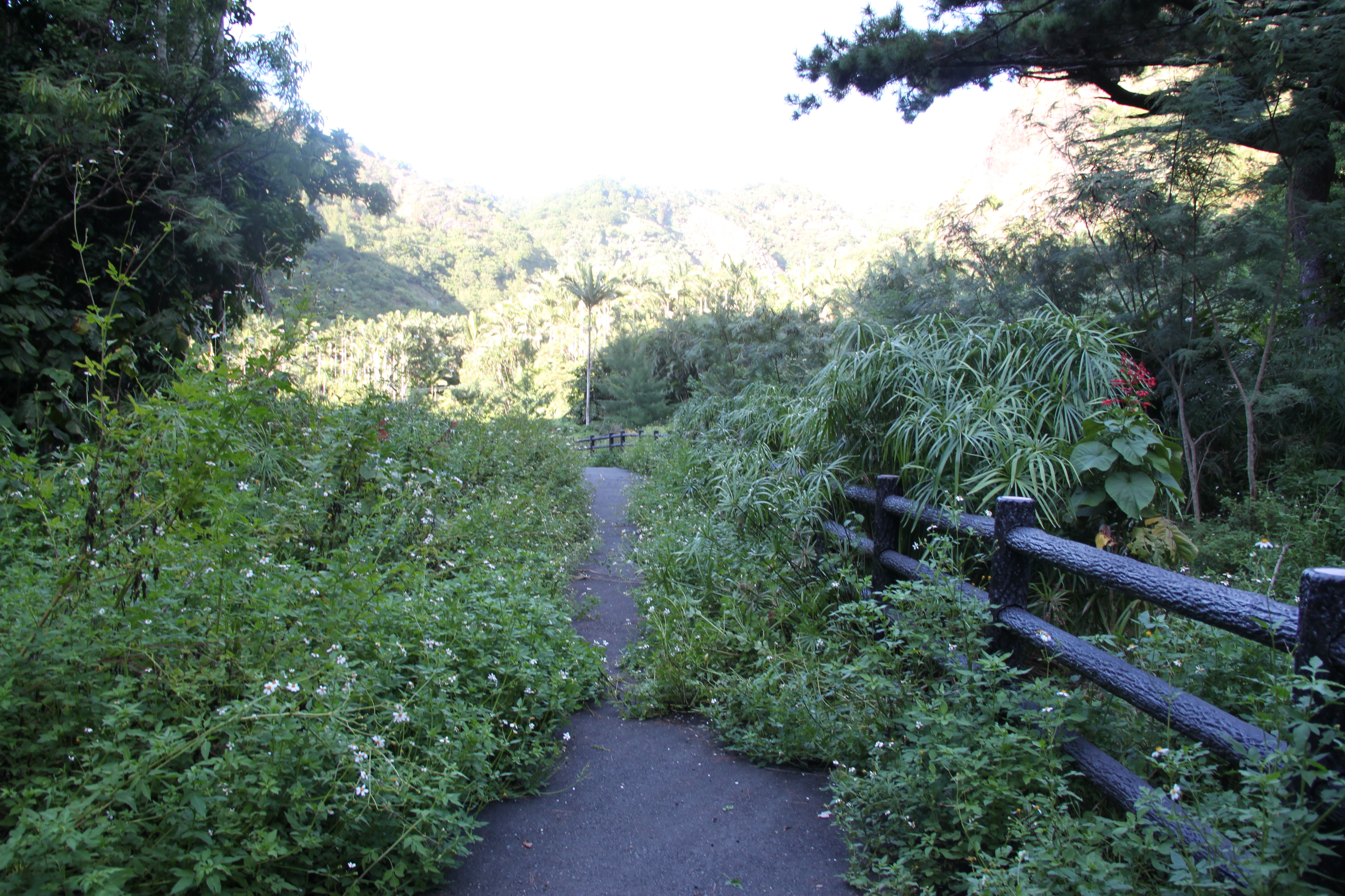 常世ノ滝に通じる遊歩道