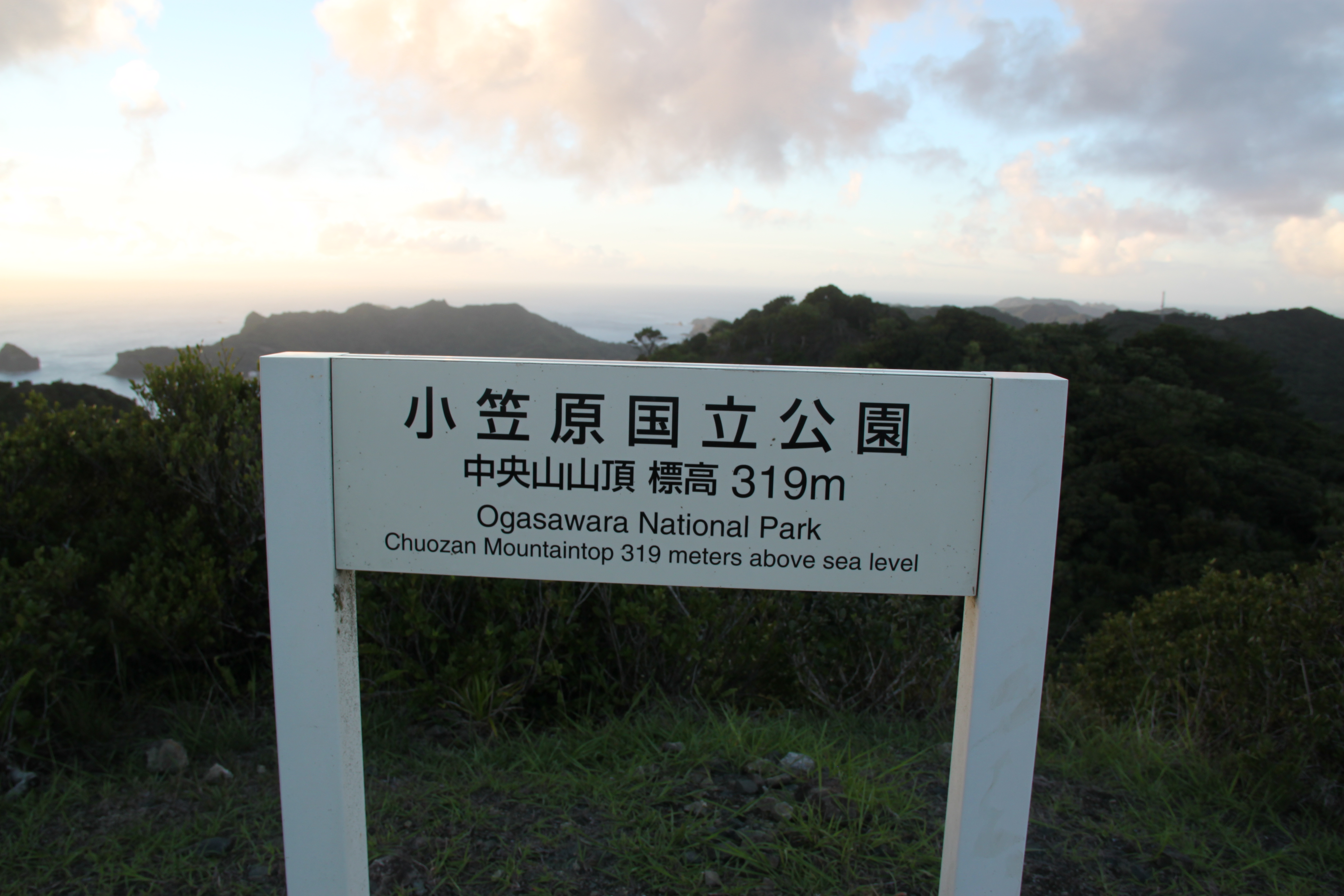 小笠原国立公園の中央山山頂標高319メートル