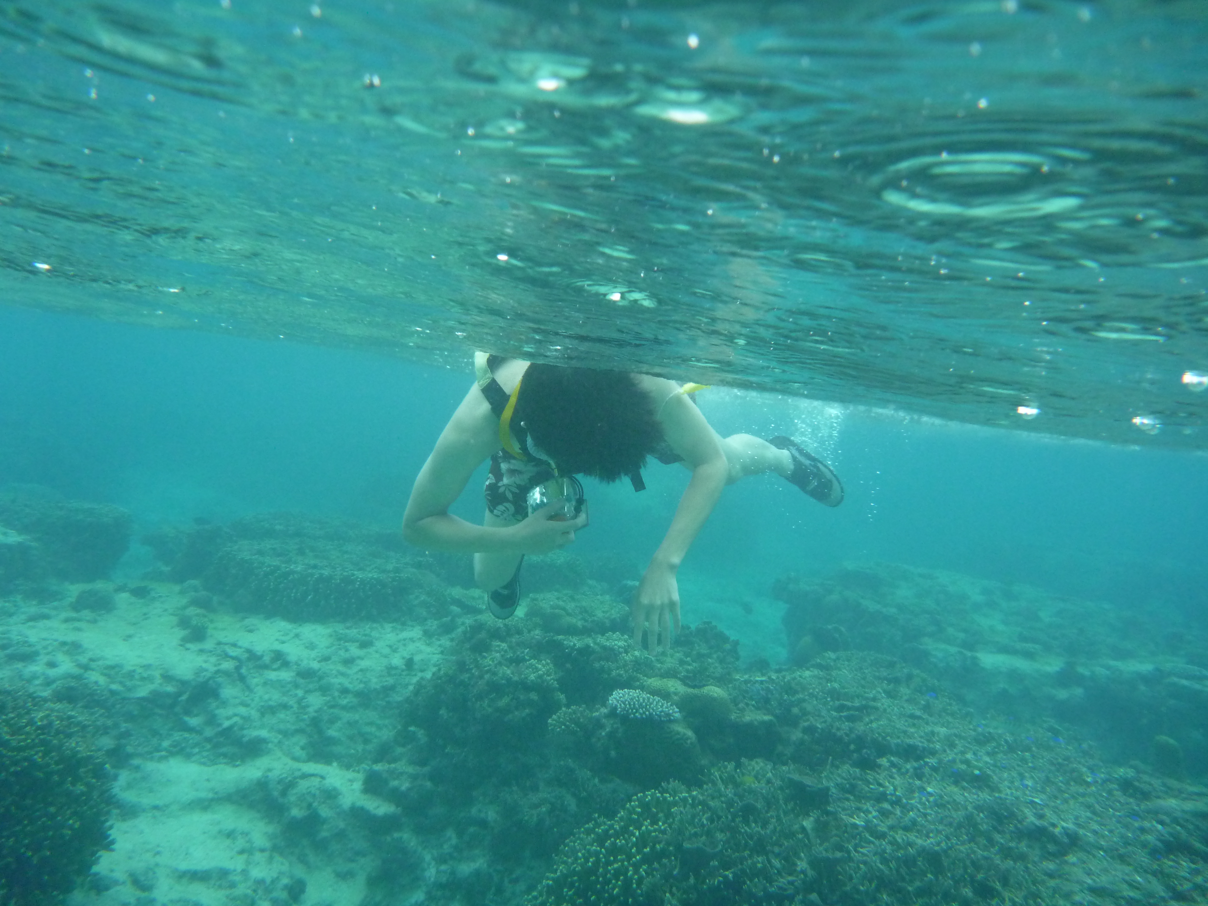 シュノーケリングしている姿