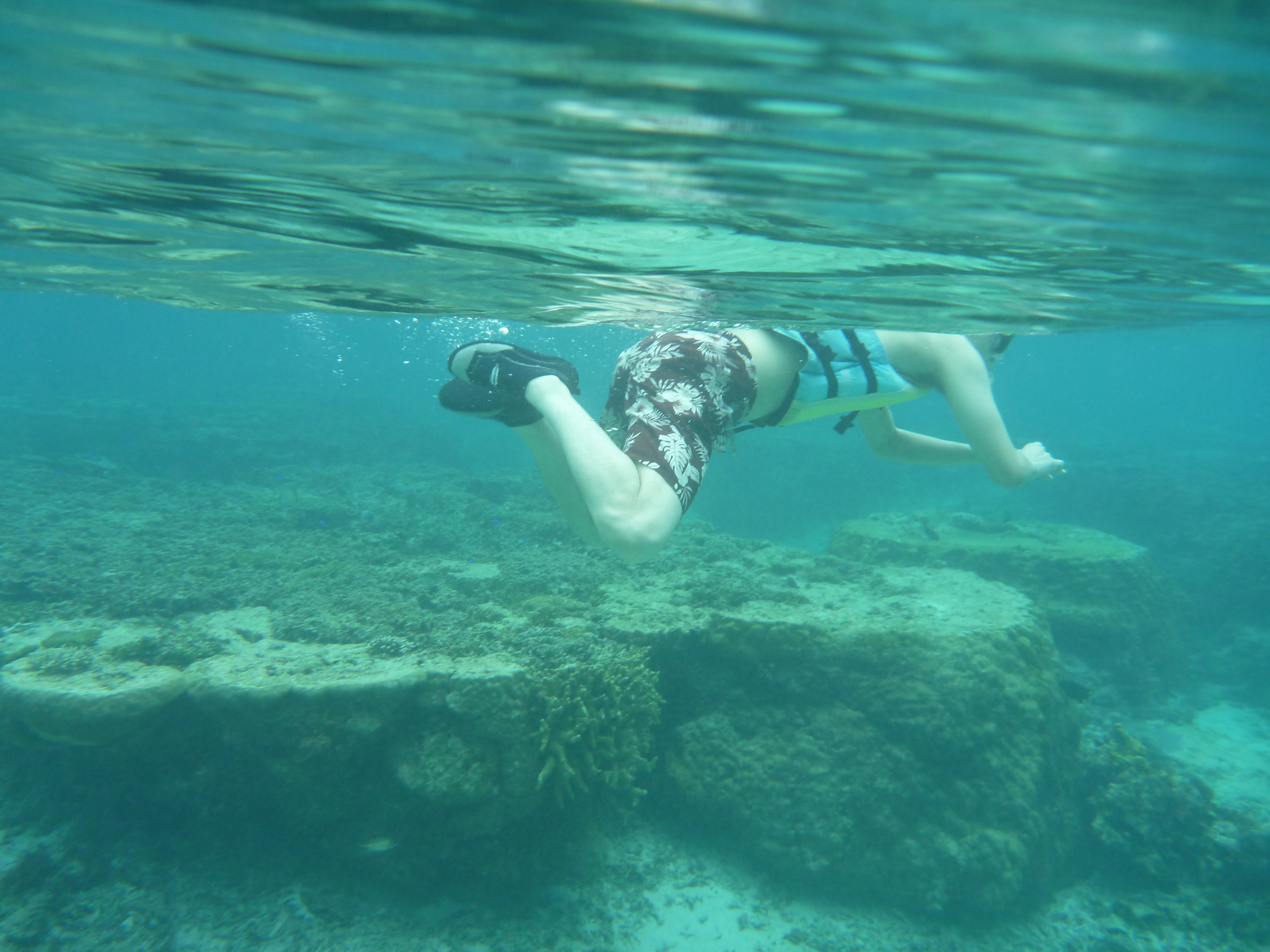 水中撮影する友人