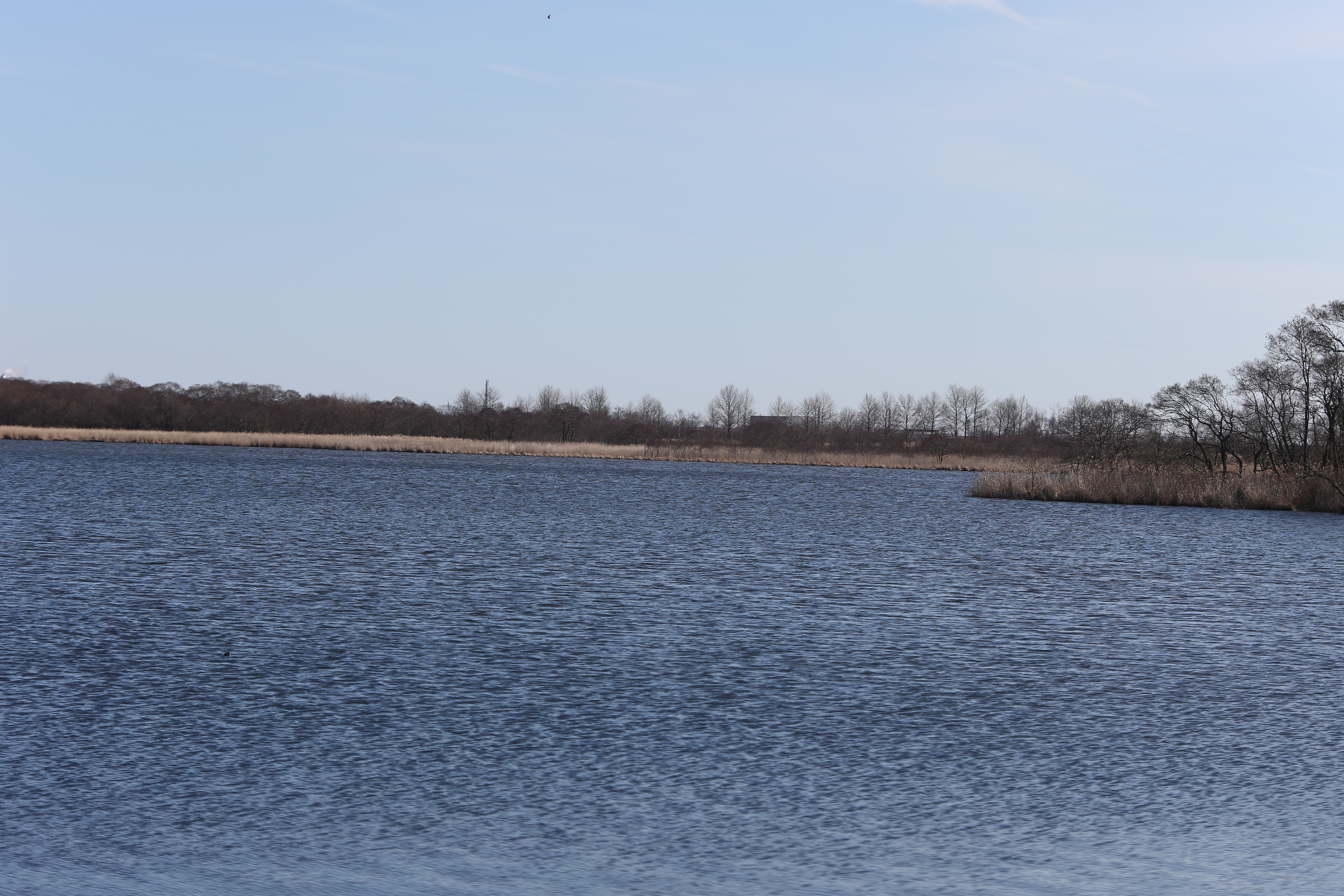 奥の方のウトナイ湖