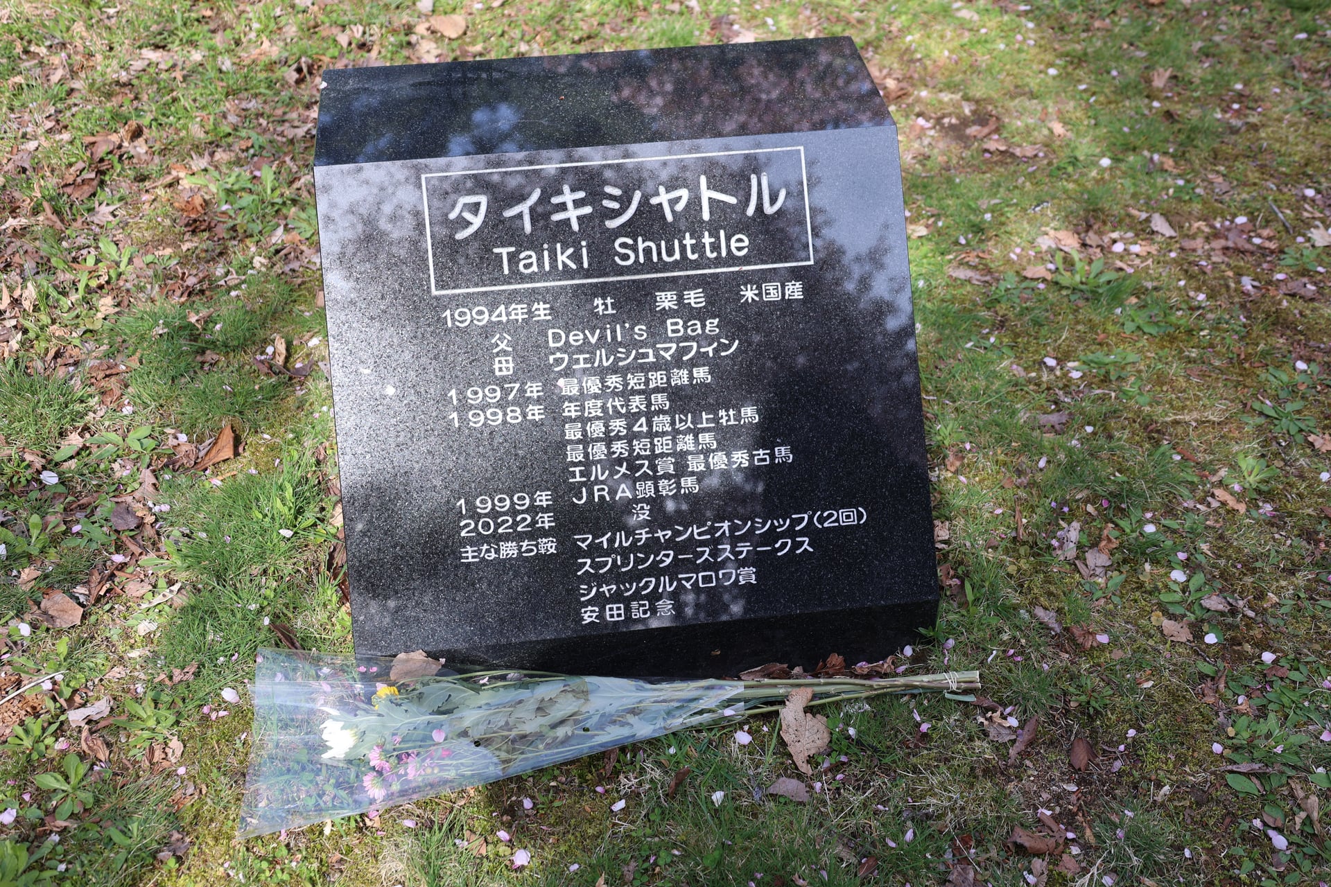 18.桜舞馬公園