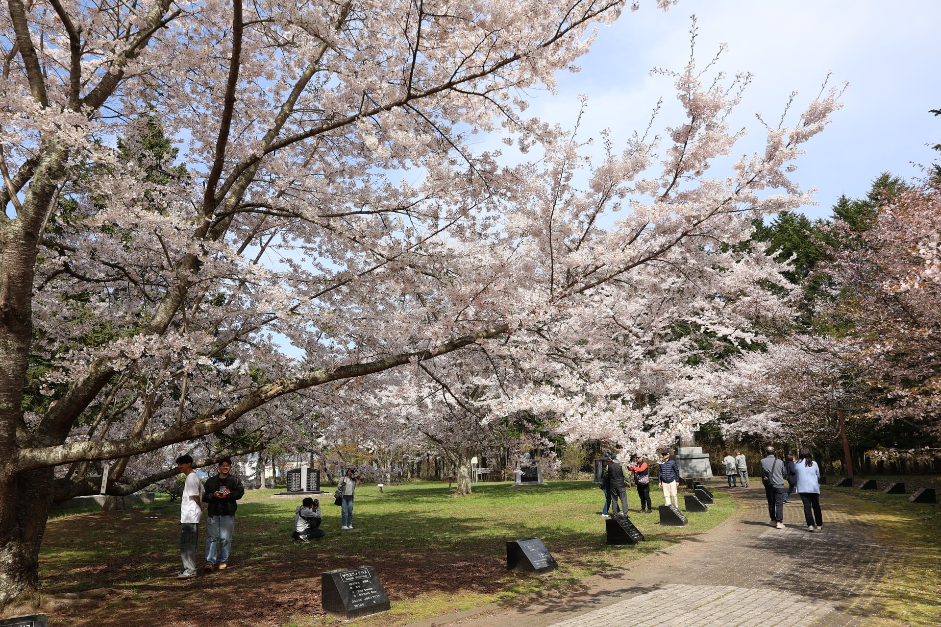 19.桜舞馬公園