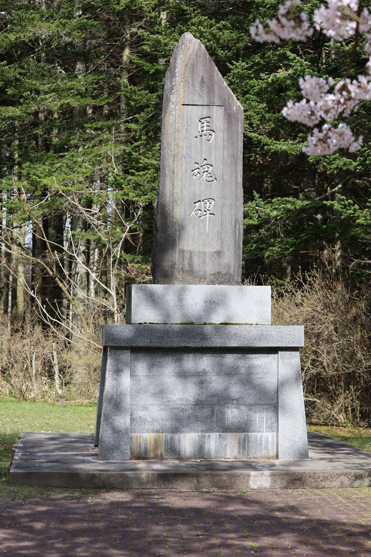 20.桜舞馬公園