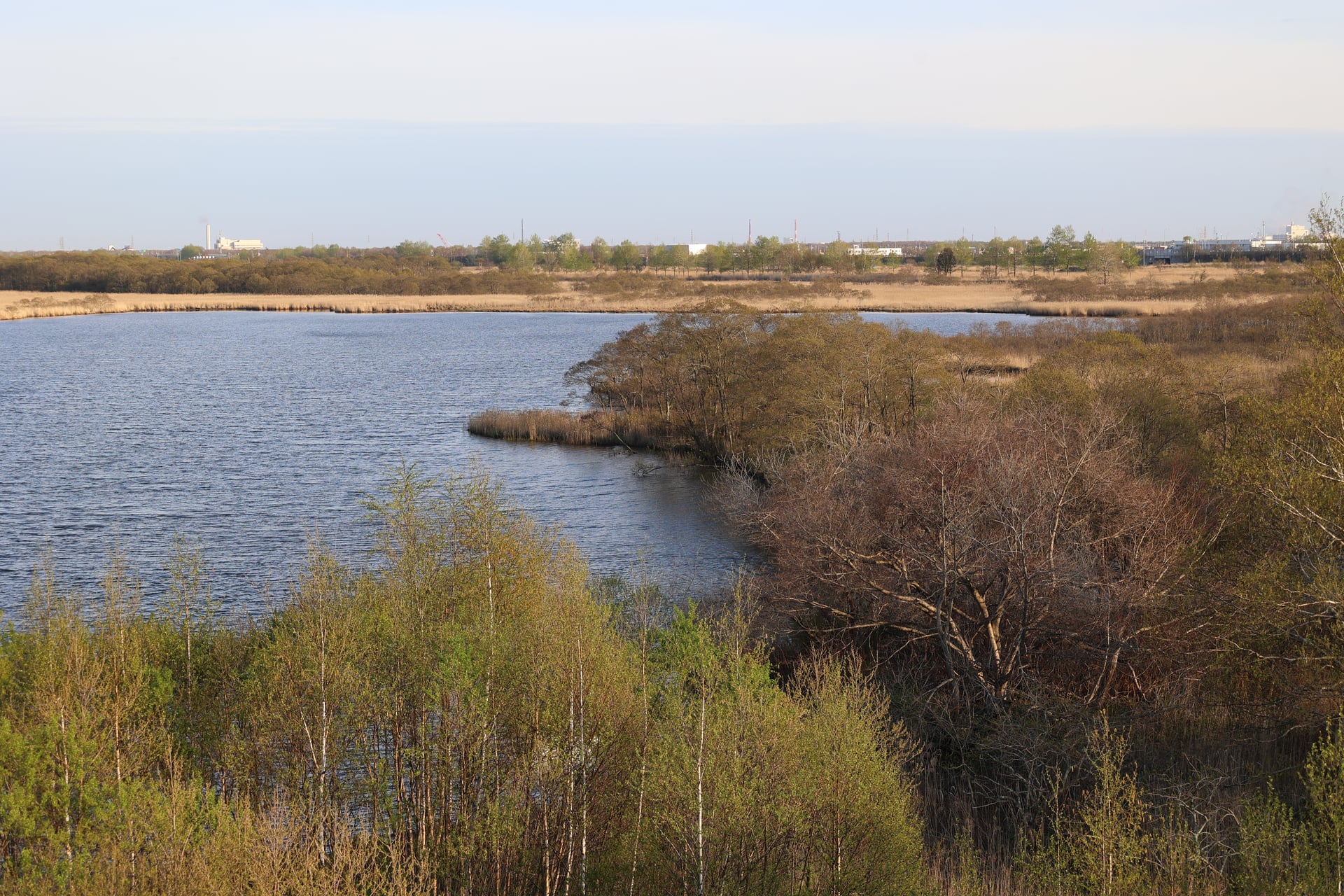 28.ウトナイ湖